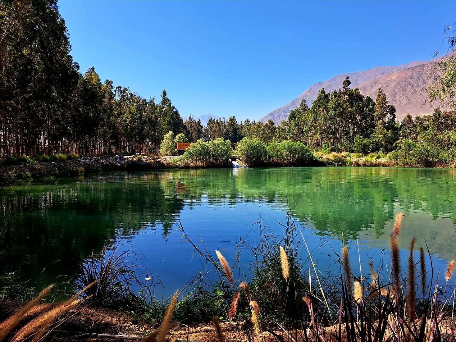 Guizado Portillo Hacienda & Resort Lunahuaná Zewnętrze zdjęcie