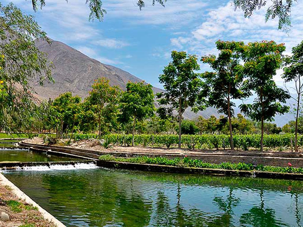 Guizado Portillo Hacienda & Resort Lunahuaná Zewnętrze zdjęcie