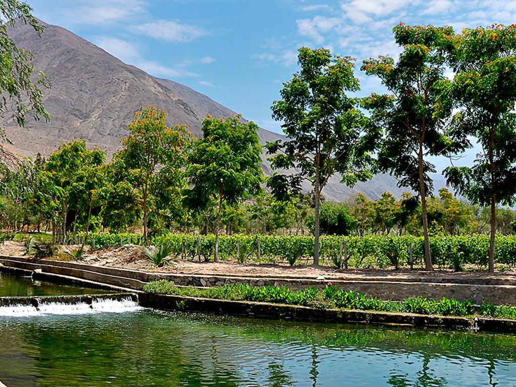 Guizado Portillo Hacienda & Resort Lunahuaná Zewnętrze zdjęcie